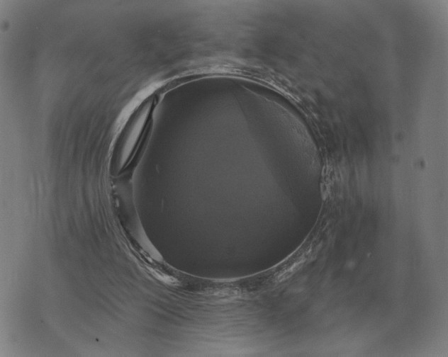 X0000070400200200606231811