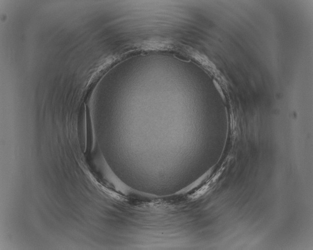 X0000070400201200606231811