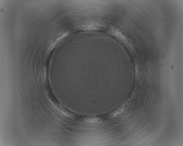 X0000070400202200606231811