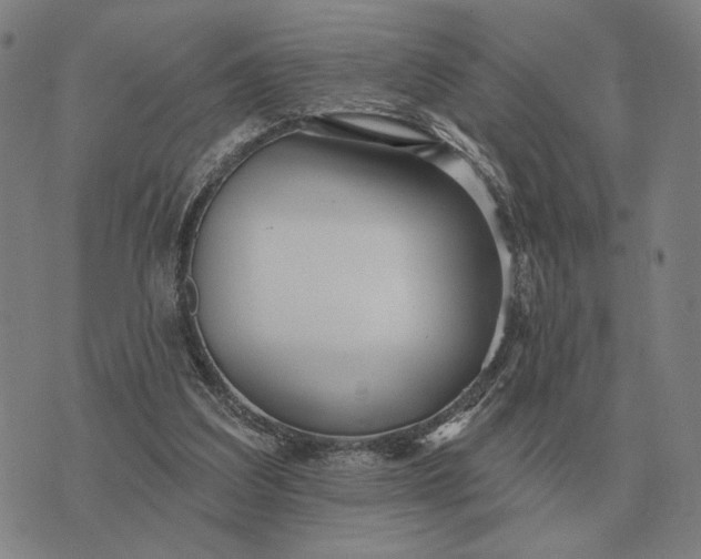 X0000070400203200606231811