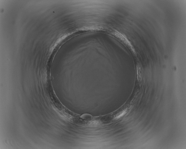 X0000070400204200606231811