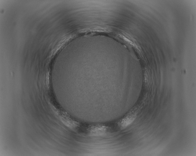 X0000070400206200606231811