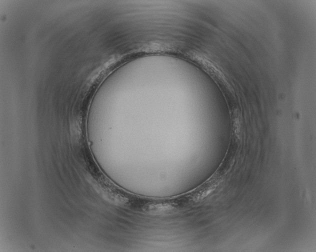 X0000070400208200606231811