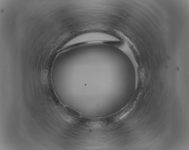 X0000070400209200606231811