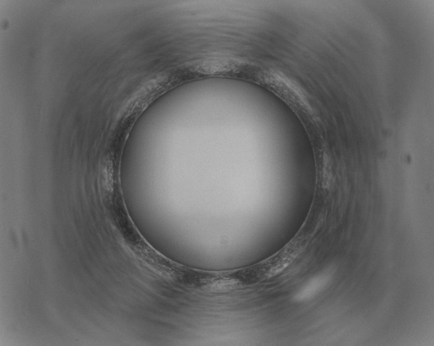 X0000070400210200606231811