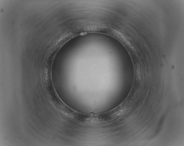 X0000070400211200606231811