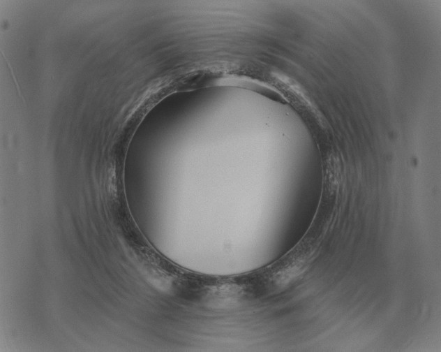 X0000070400212200606231811