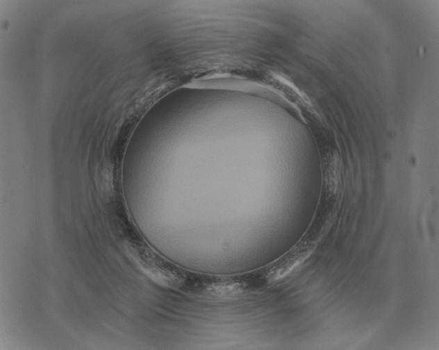 X0000070400213200606231811