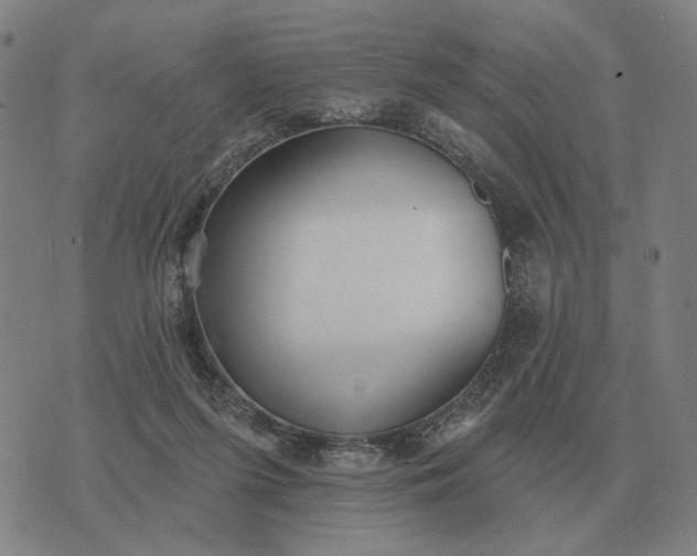 X0000070400215200606231811