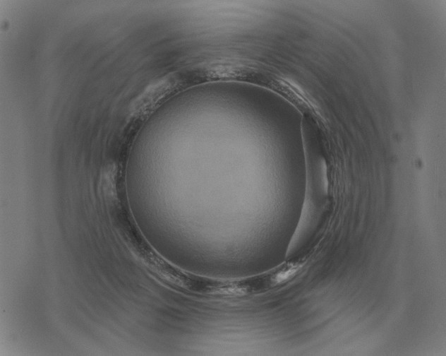 X0000070400217200606231811