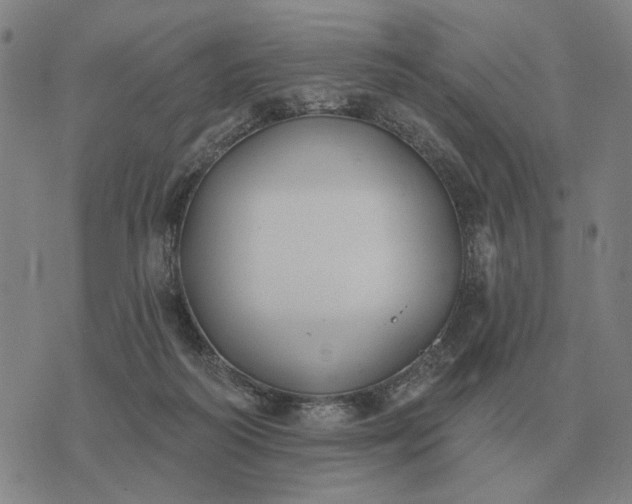 X0000070400218200606231810