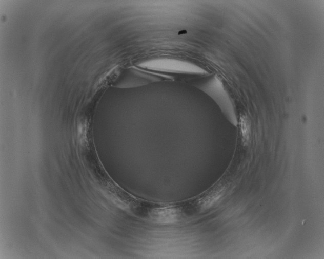 X0000070400219200606231810