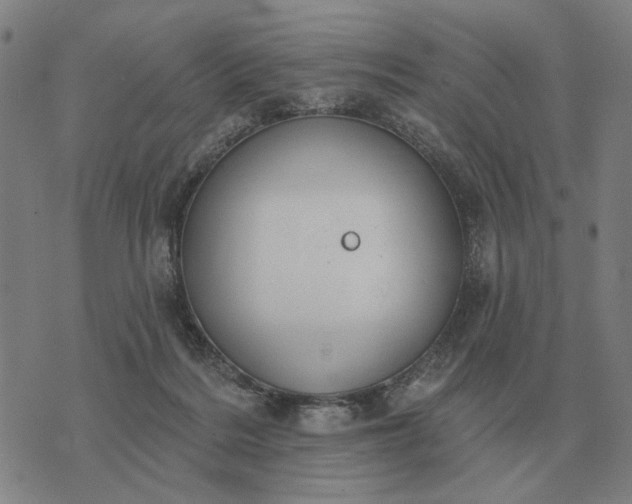 X0000070400220200606231810