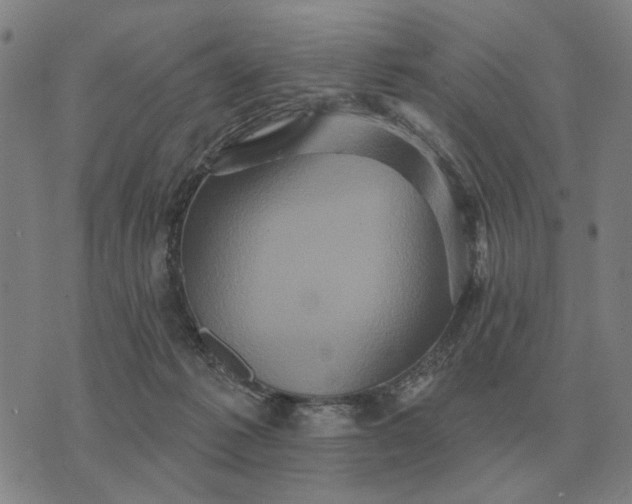 X0000070400221200606231810