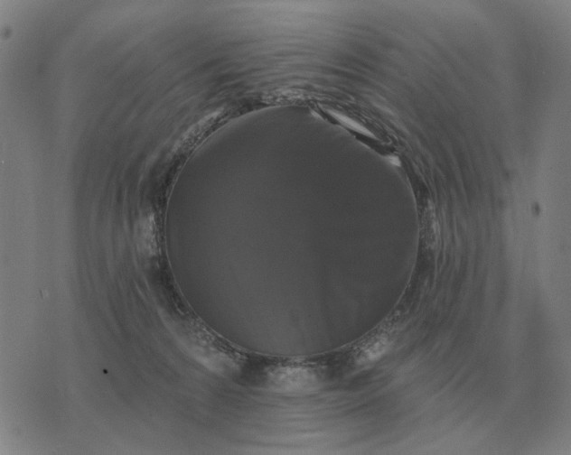 X0000070400224200606231810