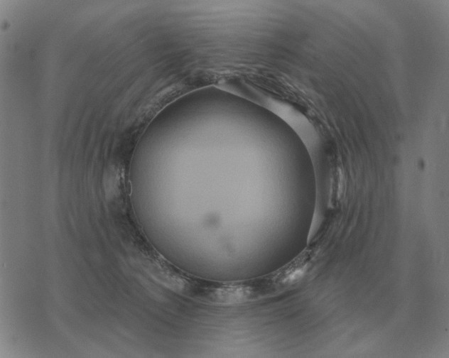 X0000070400225200606231810