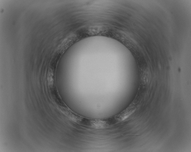 X0000070400226200606231810