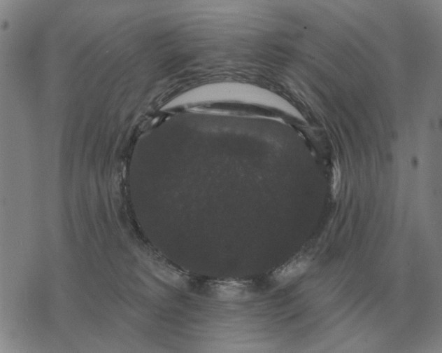 X0000070400229200606231810