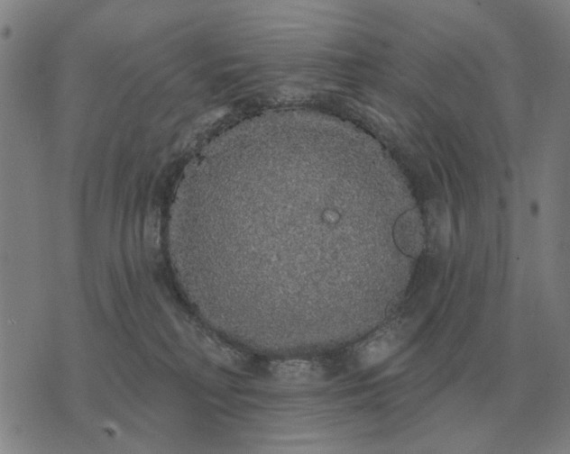 X0000070400230200606231810