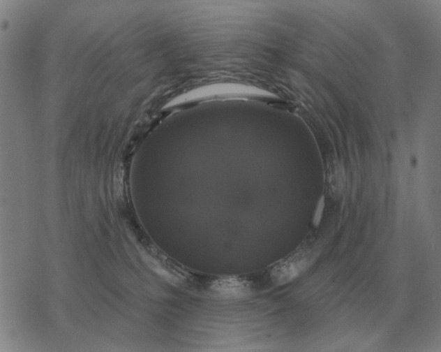 X0000070400231200606231810