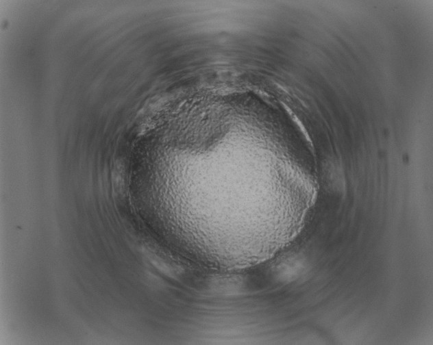 X0000070400234200606231810