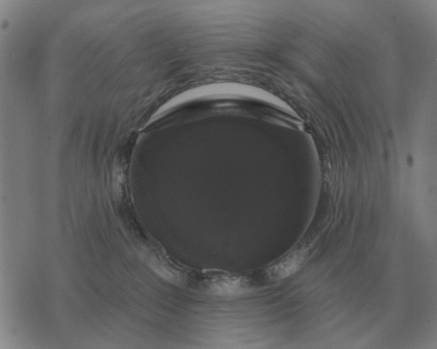 X0000070400235200606231810