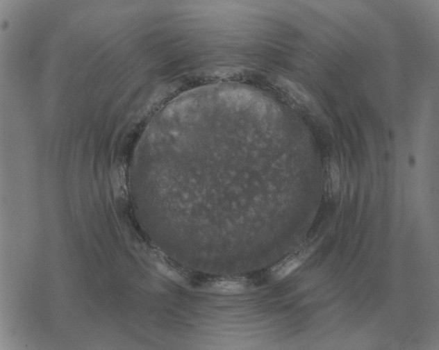 X0000070400236200606231810