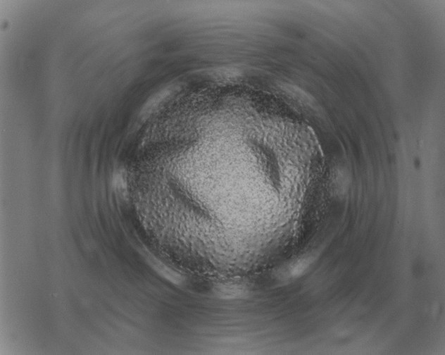 X0000070400238200606231810