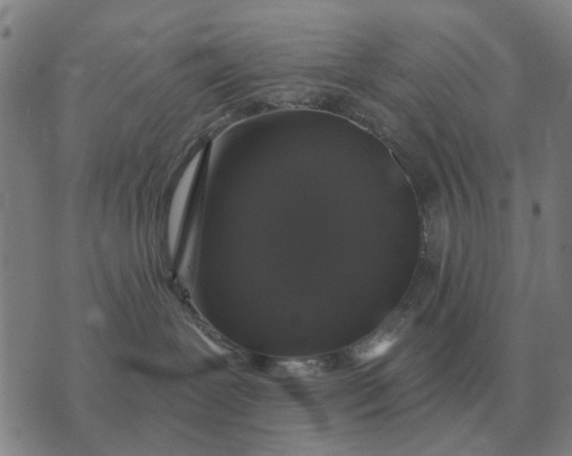 X0000070400239200606231810