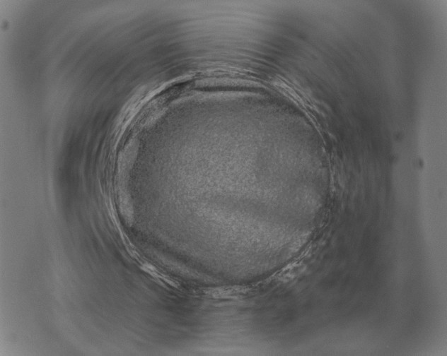 X0000070400241200606231809