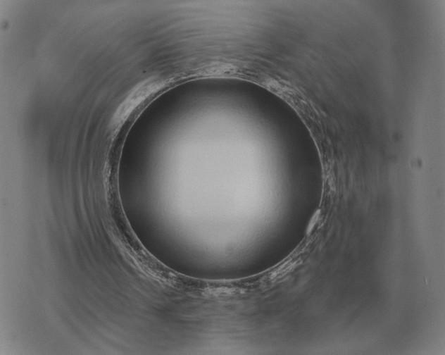 X0000070400242200606231809