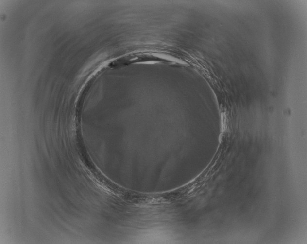 X0000070400243200606231809