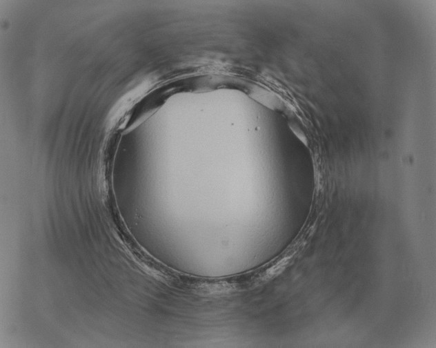 X0000070400245200606231809