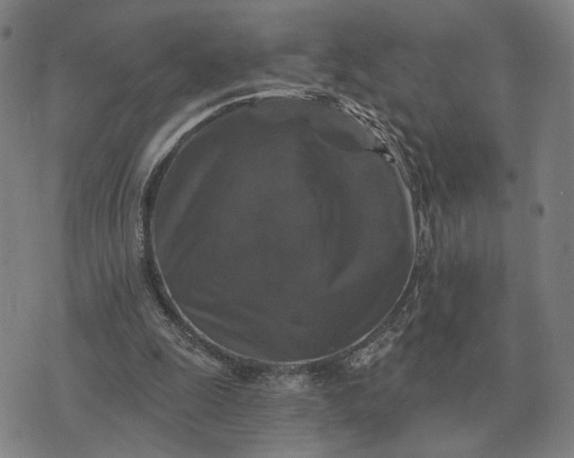 X0000070400247200606231809