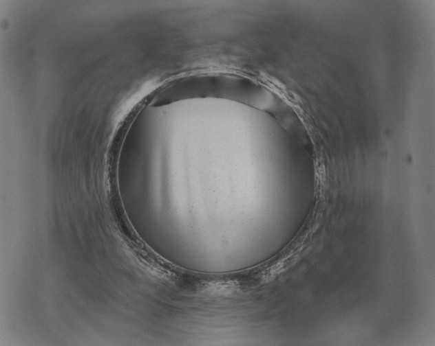 X0000070400248200606231809