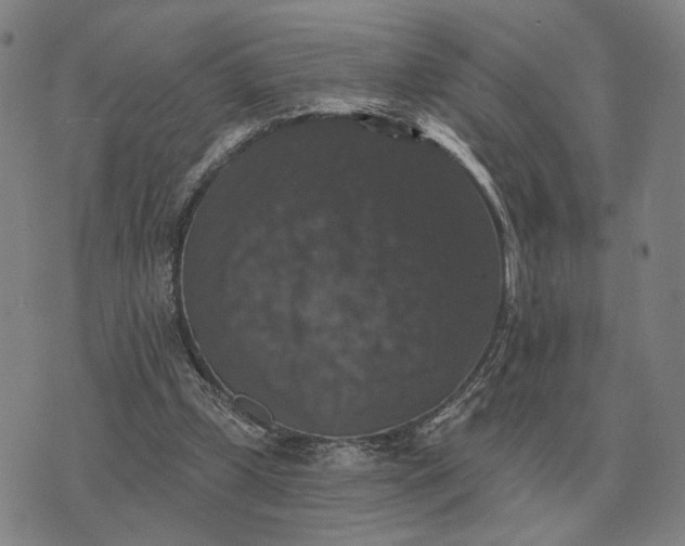 X0000070400249200606231809