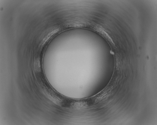 X0000070400251200606231810