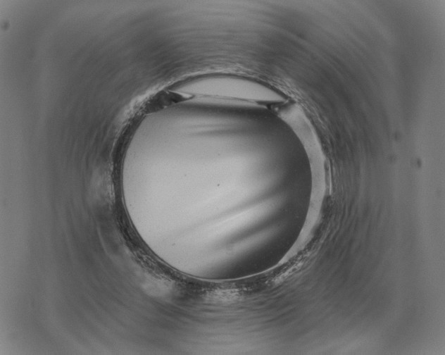 X0000070400252200606231810