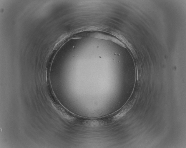 X0000070400253200606231810