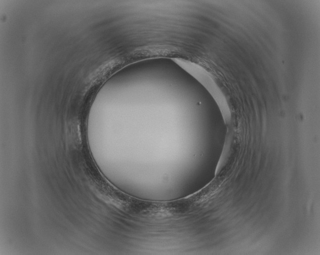 X0000070400254200606231810