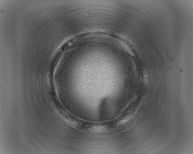 X0000070400256200606231810