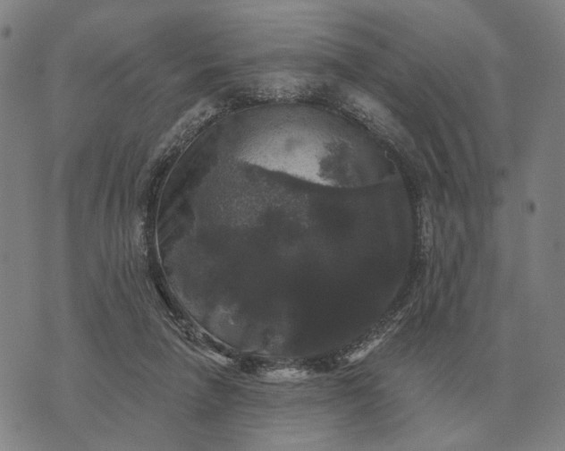 X0000070400258200606231810