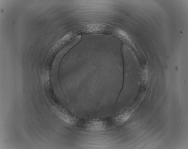 X0000070400260200606231810