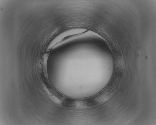 X0000070400264200606231810