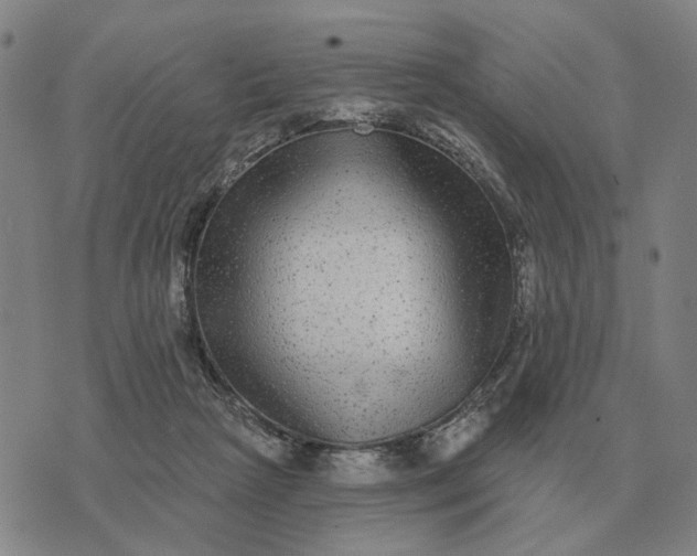 X0000070400265200606231810