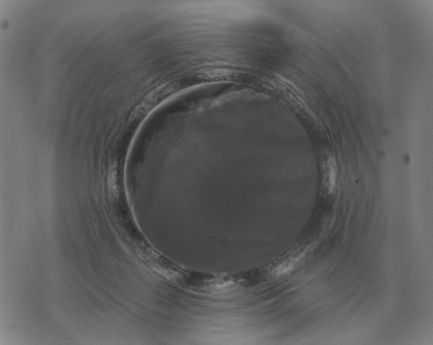 X0000070400267200606231810