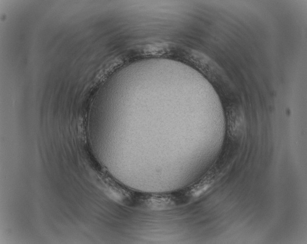 X0000070400270200606231810