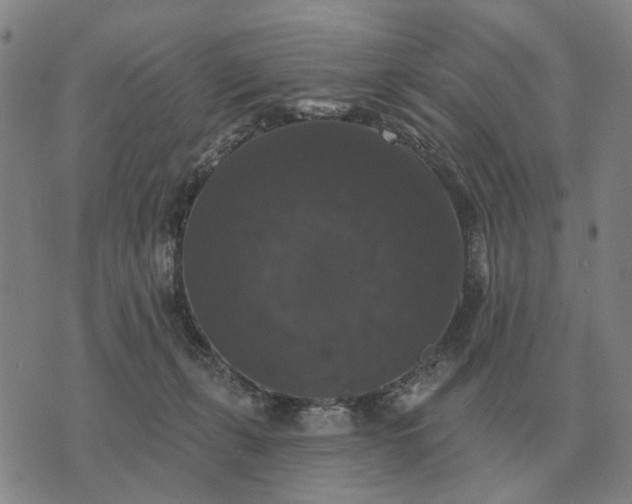 X0000070400271200606231810