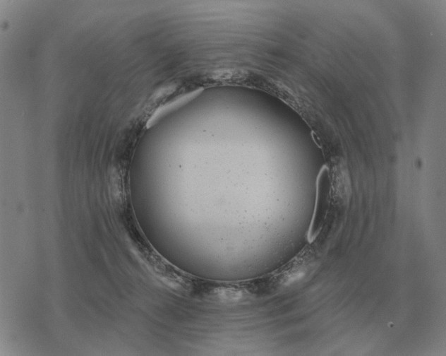 X0000070400272200606231810