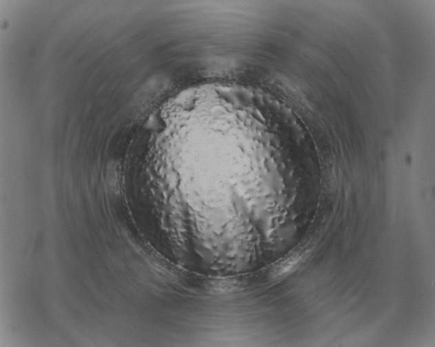 X0000070400273200606231810